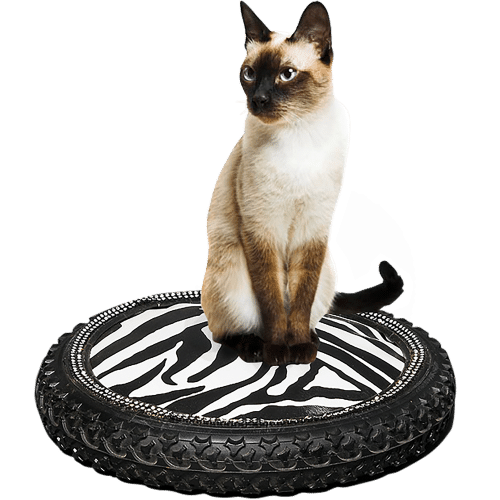 Coussin de luxe style deco garage pour chat